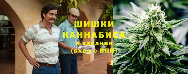 метадон Алексин