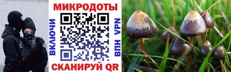 mega tor Юрьевец Псилоцибиновые грибы мухоморы где купить