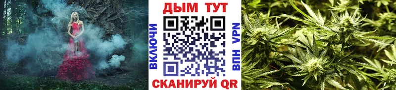 где можно купить   Юрьевец  Шишки марихуана Ganja 